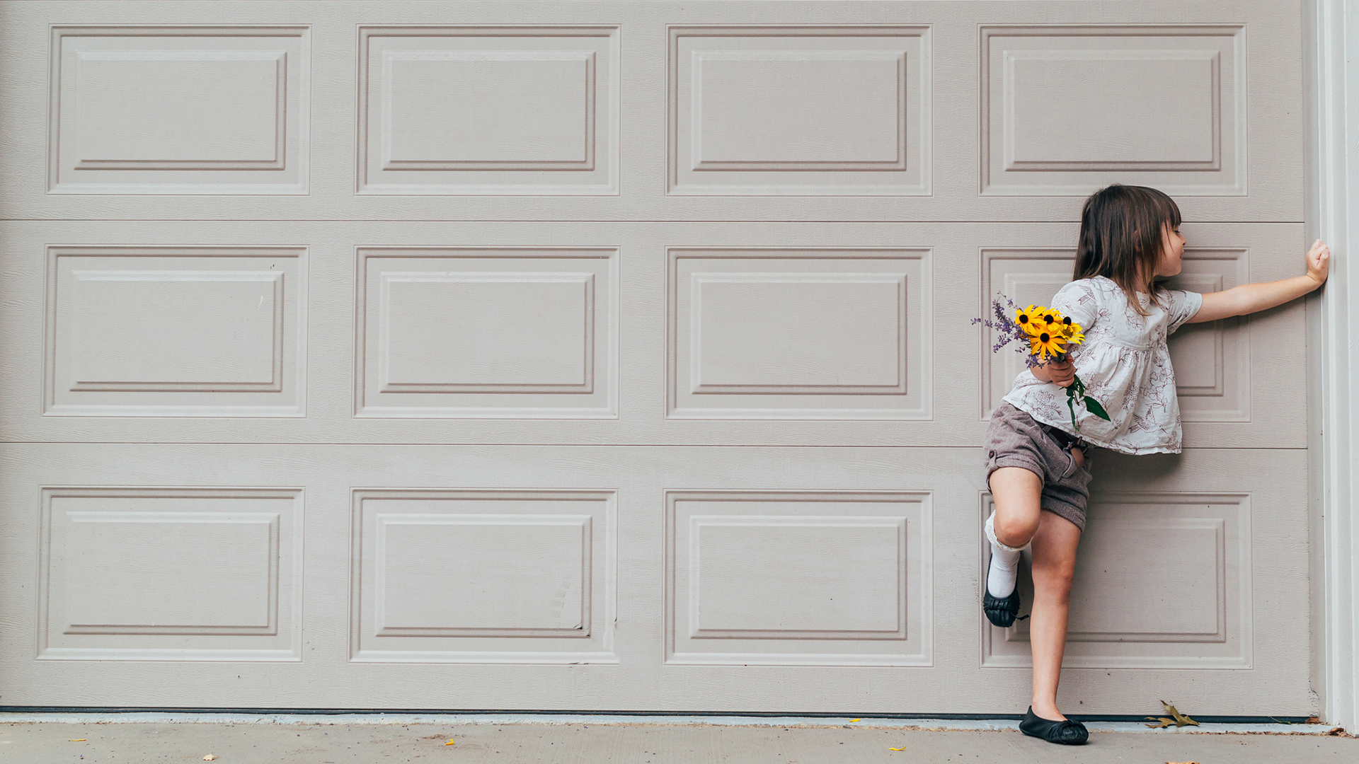 AA GARAGE DOOR REPAIR